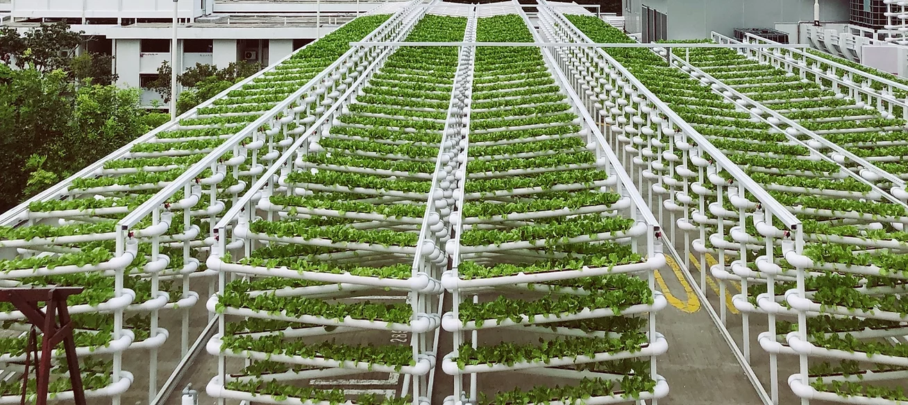 Aqua Organic System™ (AOS) farming system