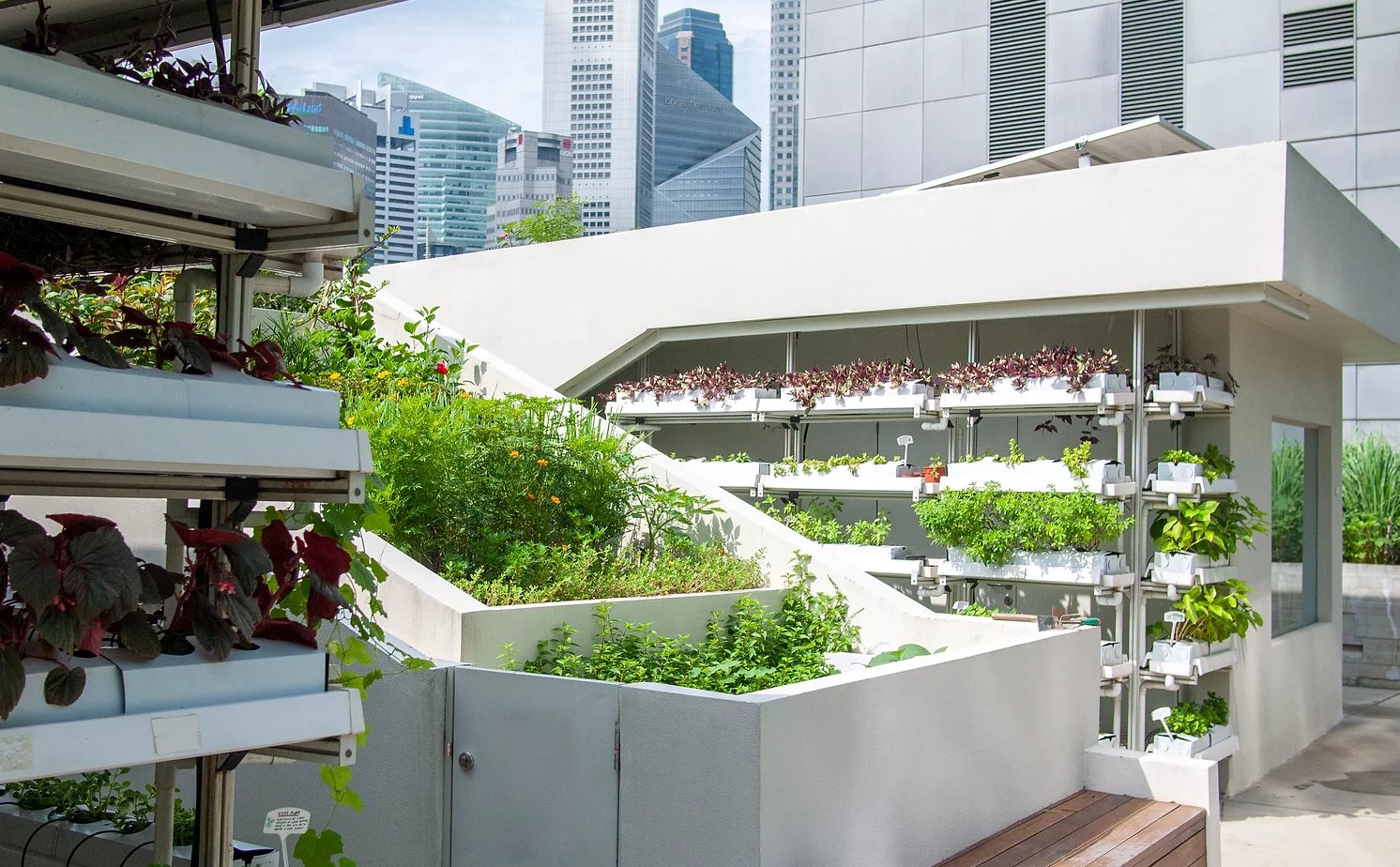 Funan Urban Farm project by Edible Garden City
