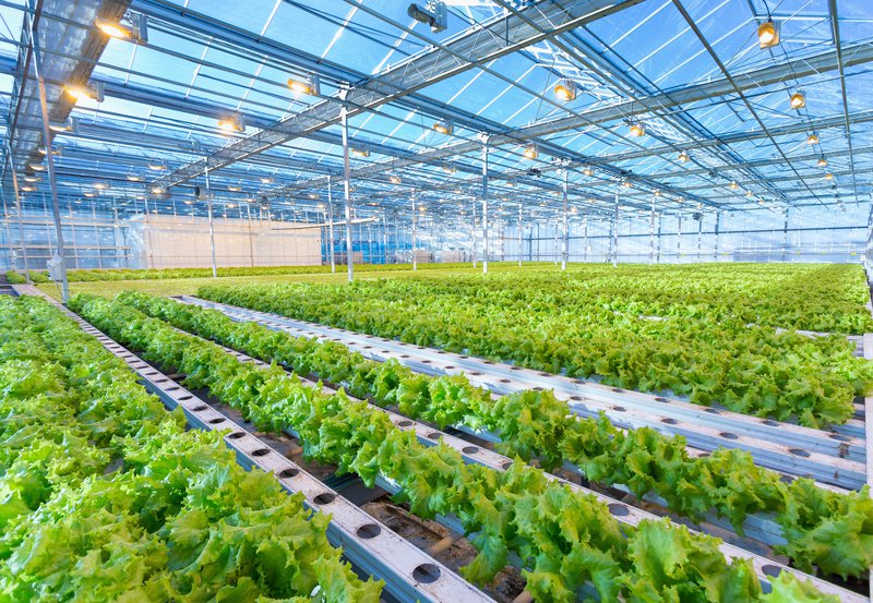 Building Green Farming Technology
