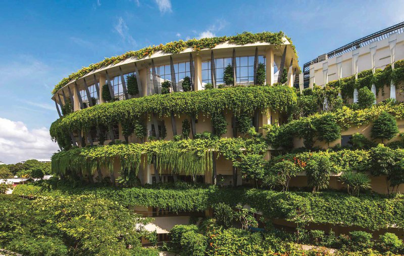 Combating Climate Change
