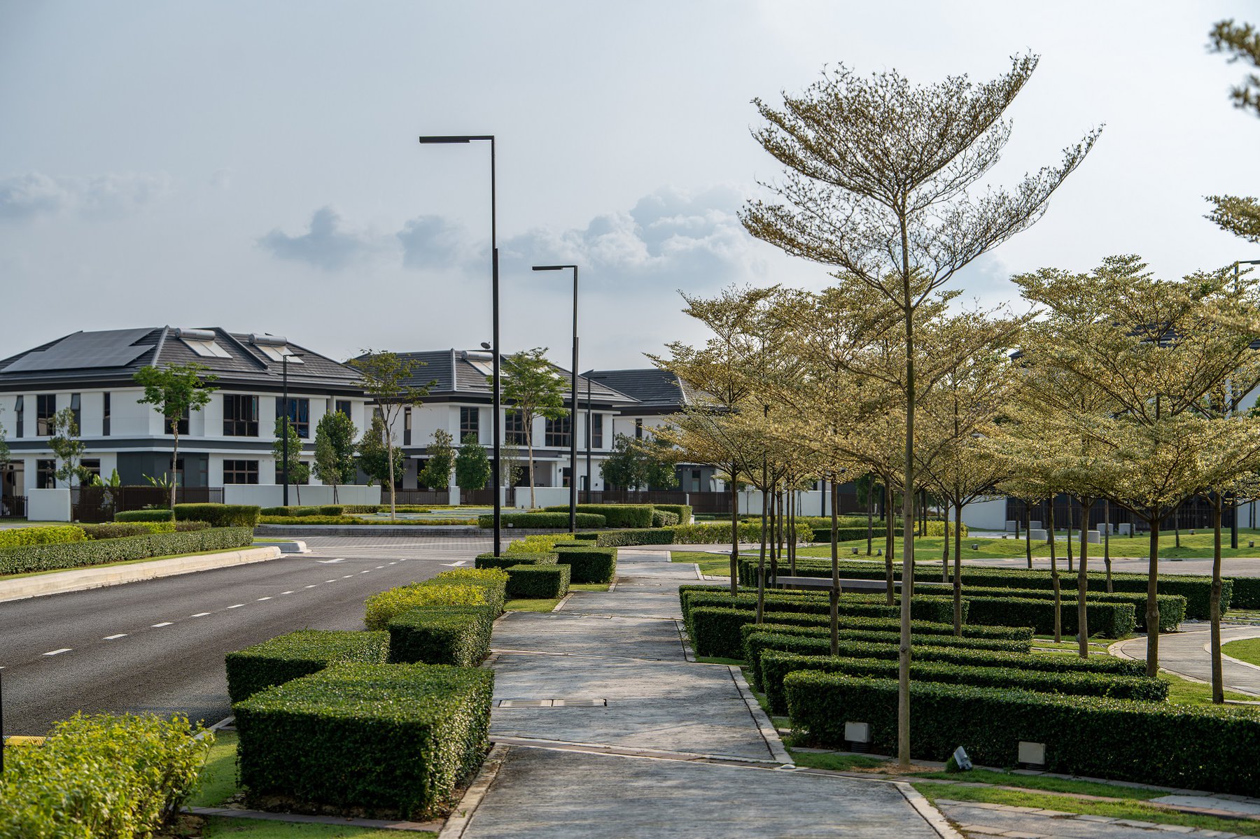 image of ECO ARDENCE, CORA