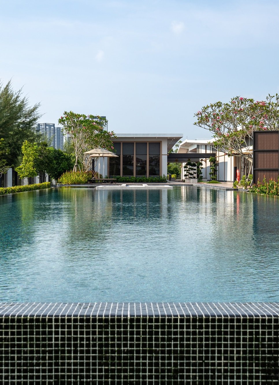 image of ECO ARDENCE, CORA