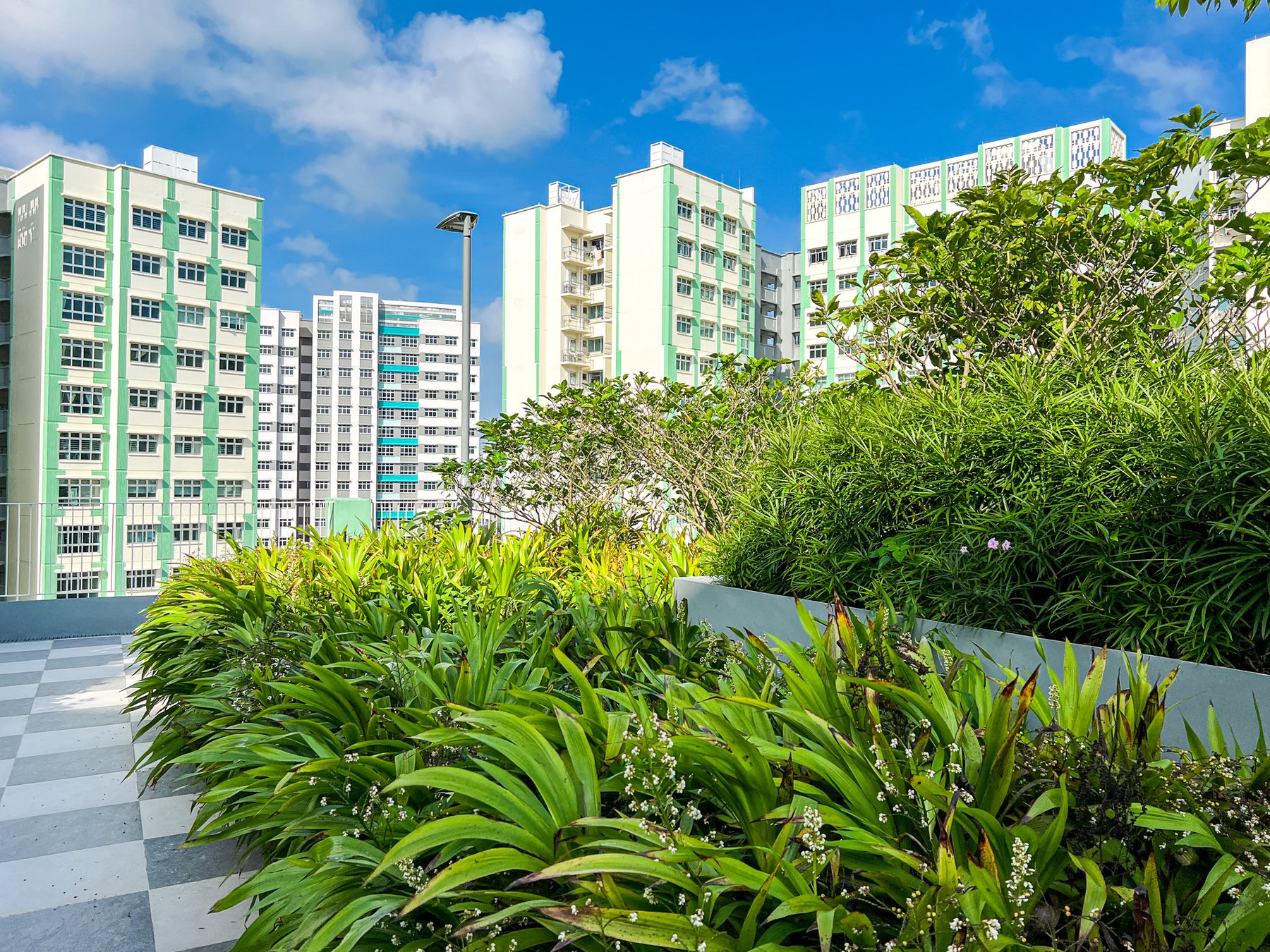 image of HDB TAMPINES GREENFOLIAGE