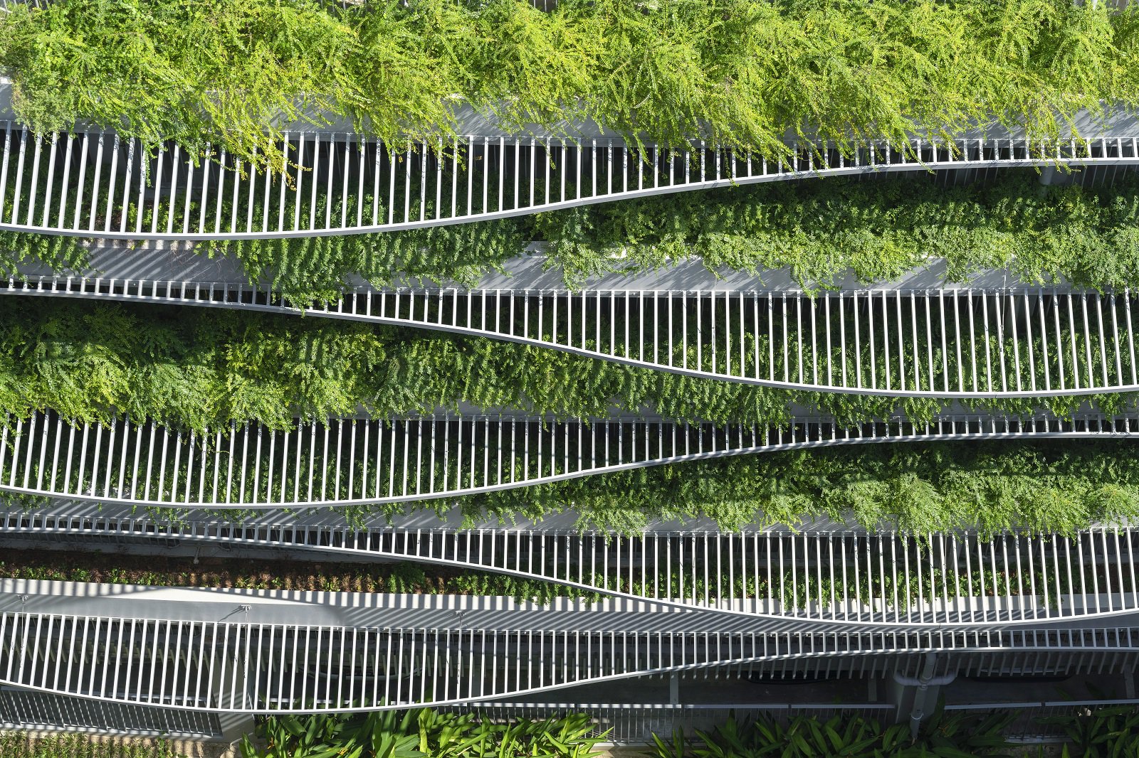 image of HDB TAMPINES GREENOPAL