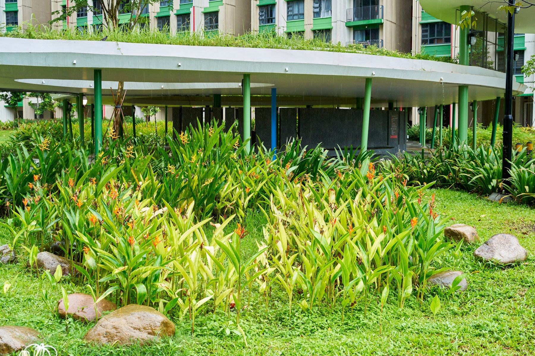 image of HDB TAMPINES GREENVINES