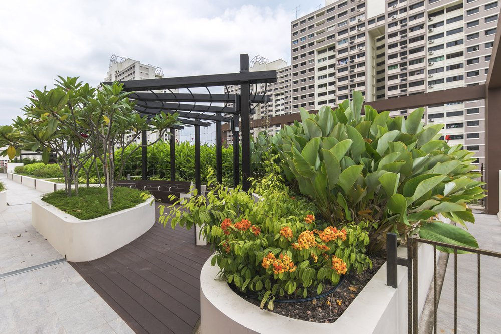 image of HDB TOA PAYOH APEX