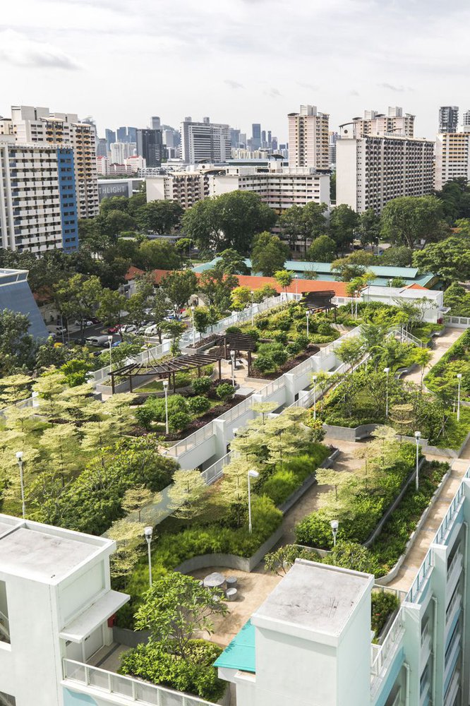 image of HDB WHAMPOA DEW