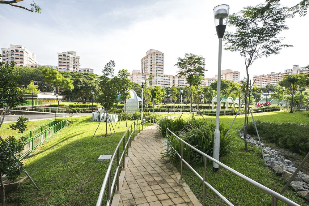 image of HDB WHAMPOA DEW