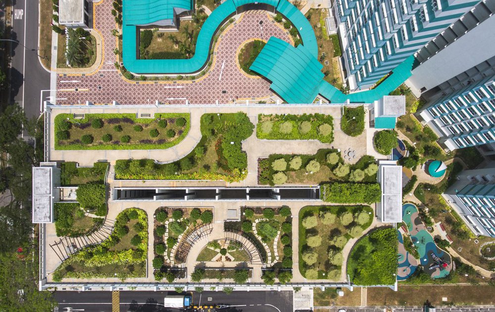 image of HDB WHAMPOA DEW