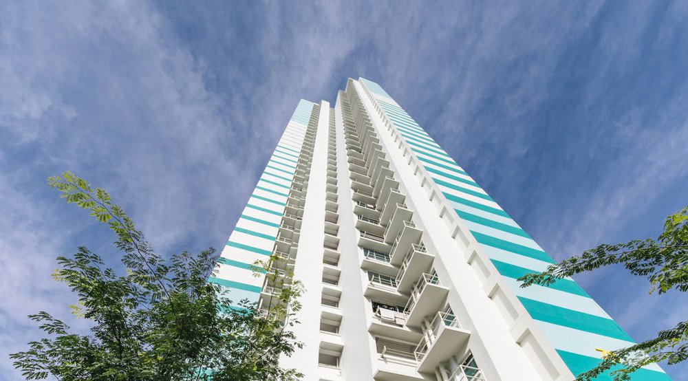 image of HDB WHAMPOA DEW