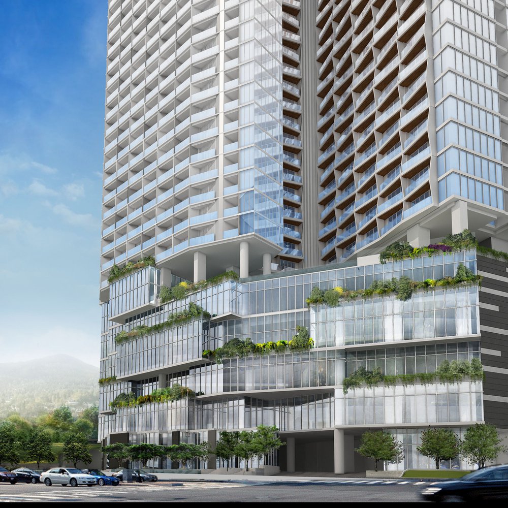 image of THE HOLIDAY HALONG