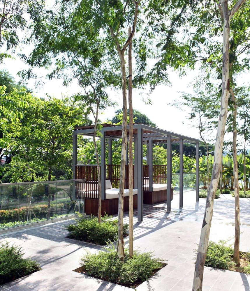 image of HUNDRED TREES