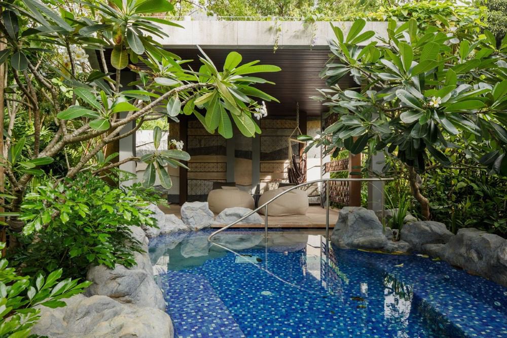 image of MON JERVOIS