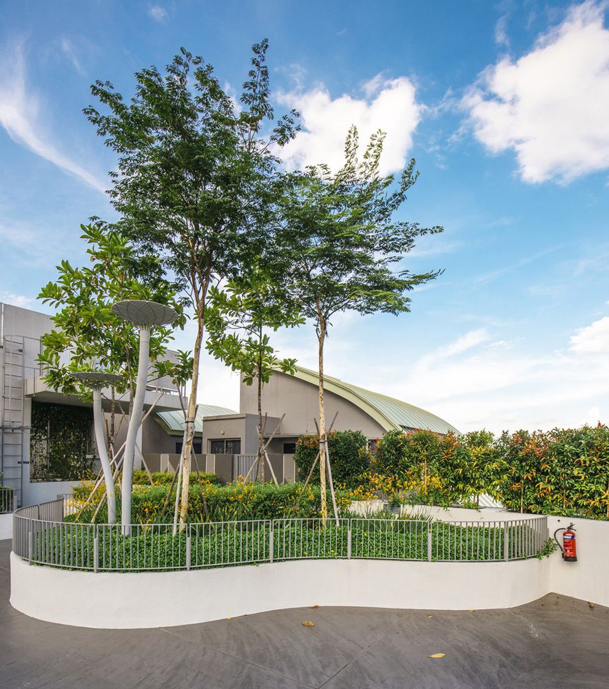 image of POLLEN & BLEU