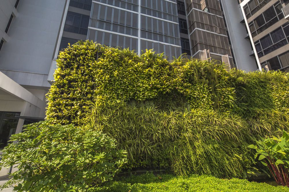 image of THE TENNERY