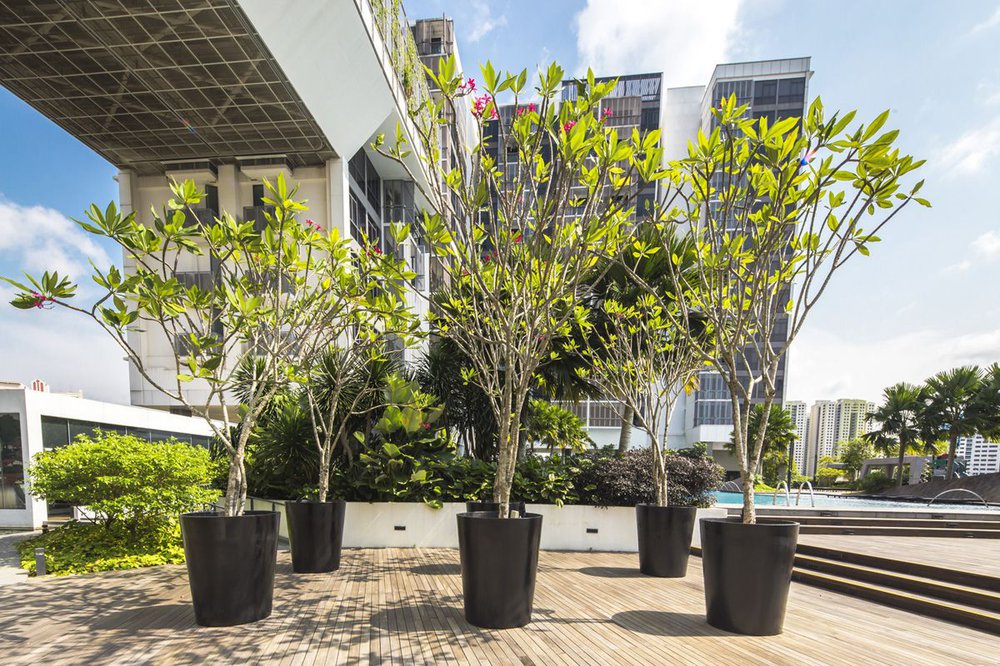 image of THE TENNERY