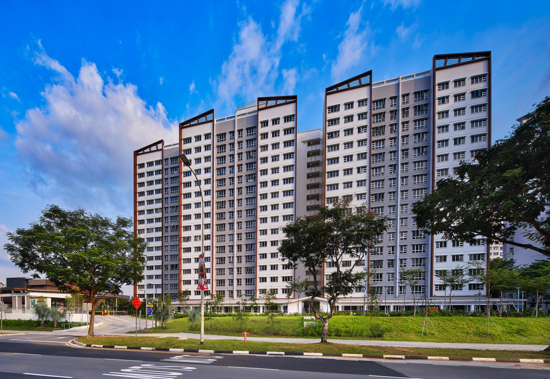 image of WOODLANDS GLADE