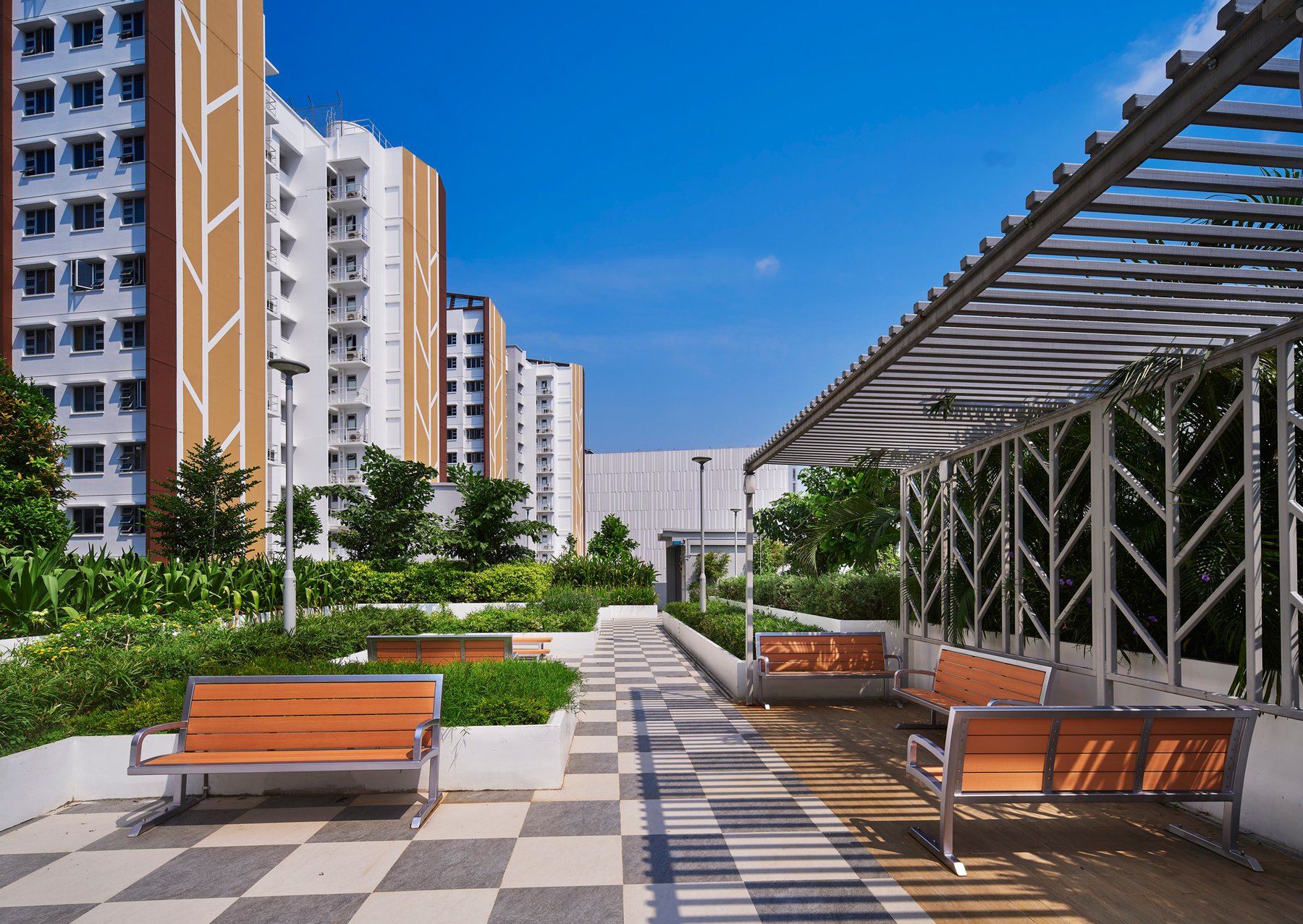 image of WOODLANDS GLADE