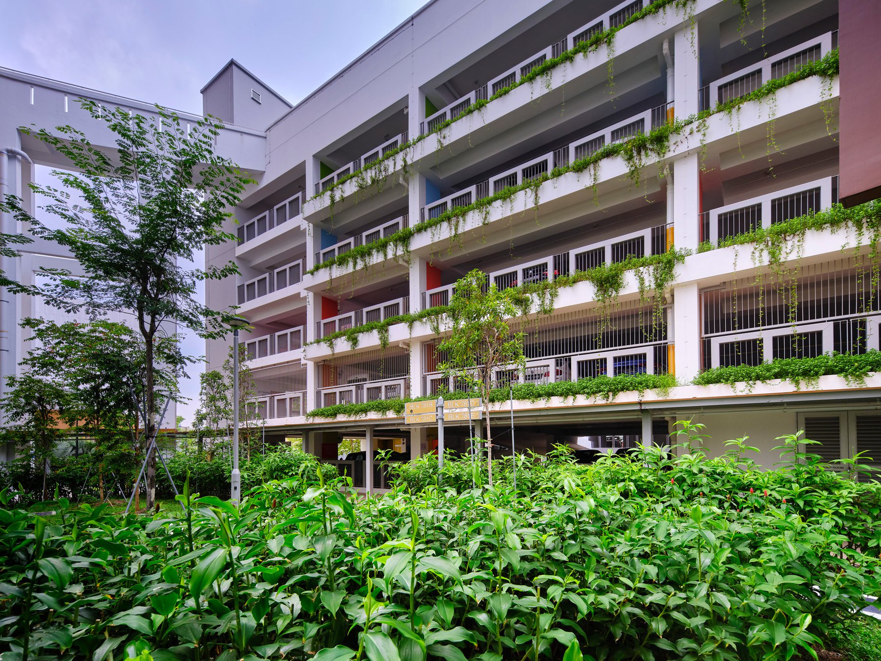 image of WOODLANDS GLADE