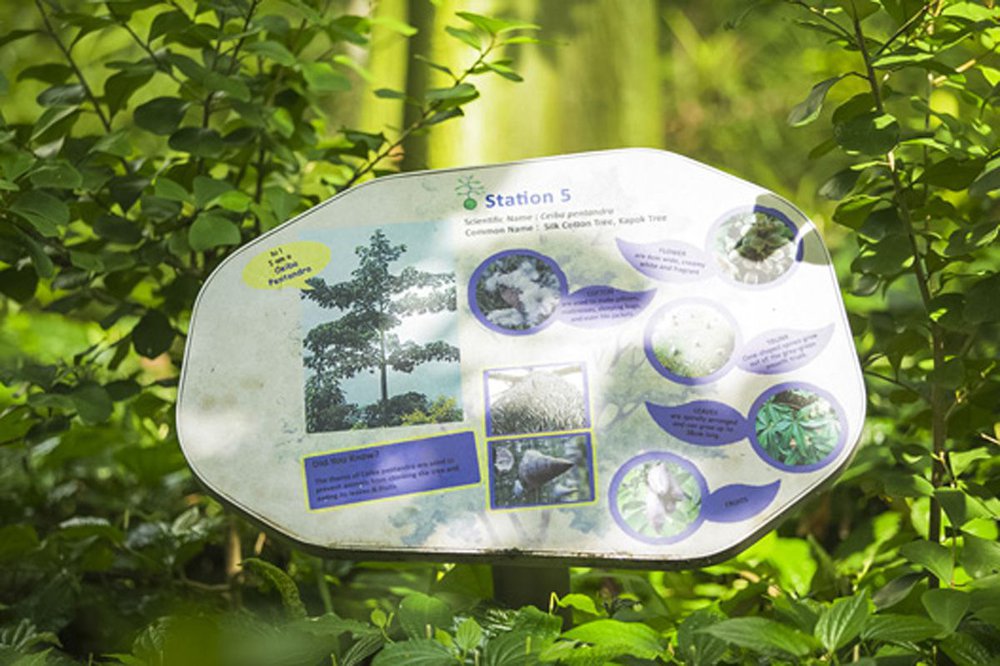 image of YISHUN NATURE PARK