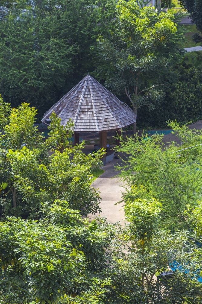 image of YISHUN NATURE PARK
