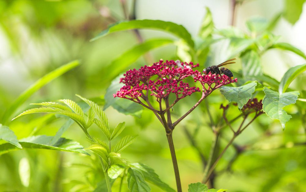 image of YISHUN NATURE PARK