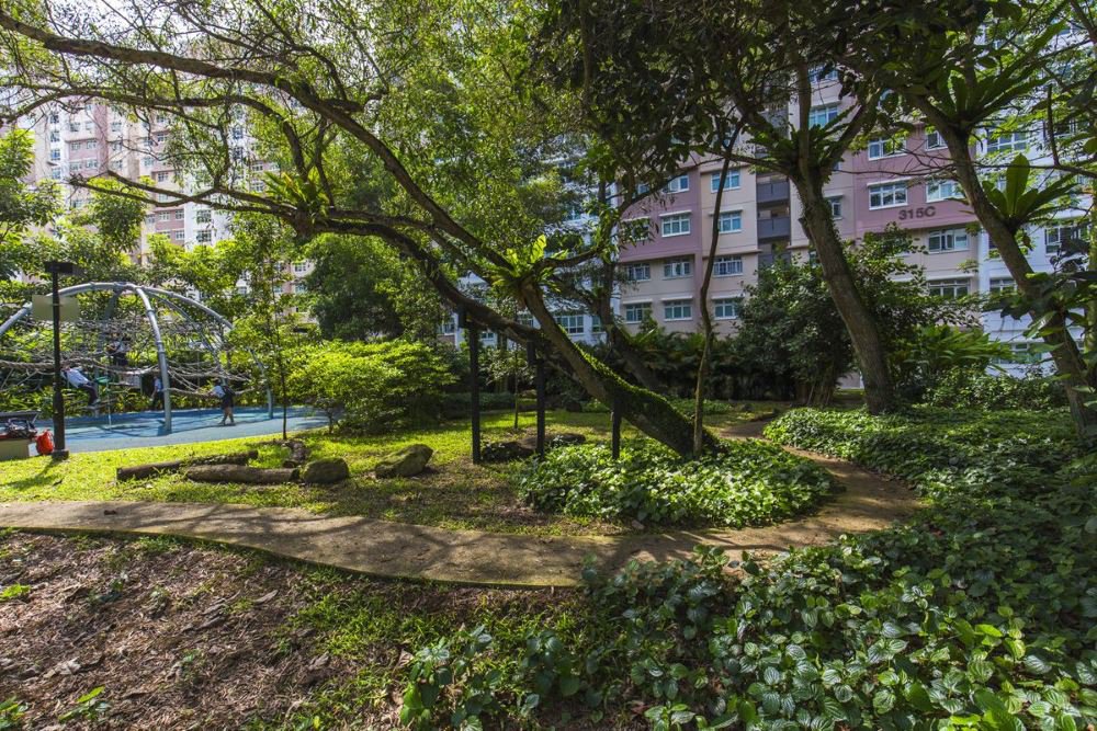 image of YISHUN NATURE PARK